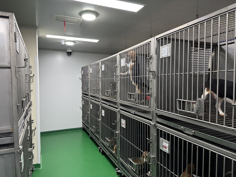 安徽实验室研究所视频监控系统